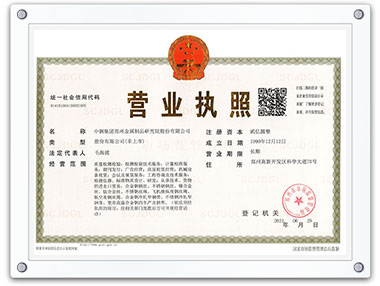 中钢国检营业执照